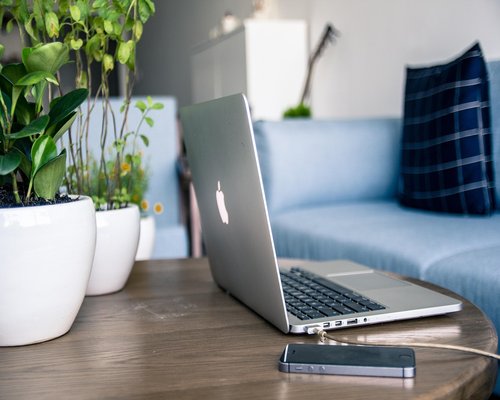 A neat and calm workspace setup on a wooden desk with a small plant